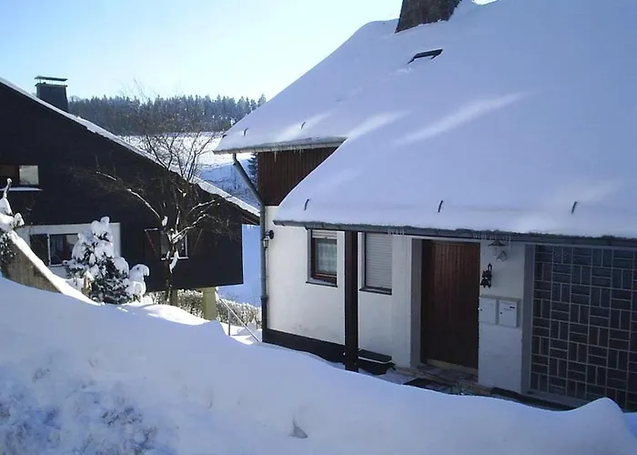 With 4 Bedrooms Holiday home Schmallenberg